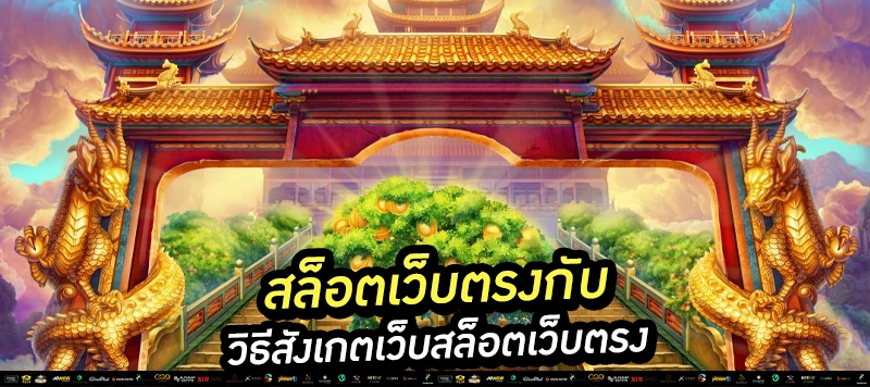 “เล่นได้ทุกค่าย ไม่ต้องโยกเงิน”