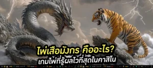 🎴 ไพ่เสือมังกร เกมไพ่ใบเดียว รู้ผลไว ได้เงินจริง! เสริม: เหมาะกับสายลุย ไม่ต้องคิดเยอะ เดิมพันไว กำไรทันใจ