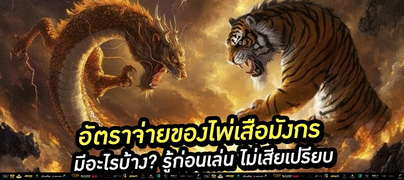 💰 อัตราจ่ายเสือมังกรชัดเจน แทงเสมอได้ถึง 8 เท่า! เสริม: ไม่มีหัก ไม่มีงง แทงถูกรับเต็มทุกยอด