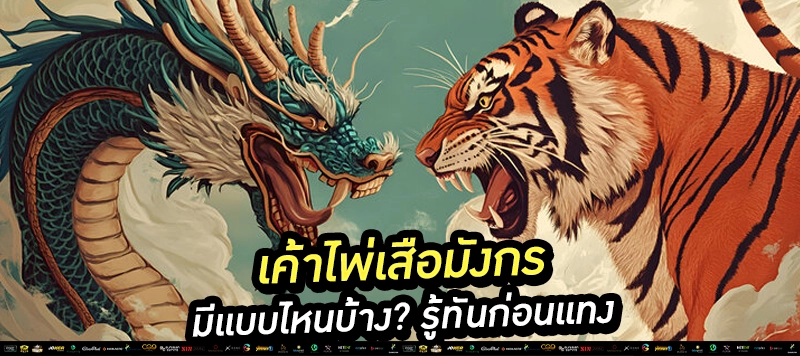 📊 เค้าไพ่เสือมังกร รู้ไว้ มีแต่กำไร! เสริม: มังกรยาว ปิงปองชัด สองตัวตัด ต้องสังเกตให้ดี!